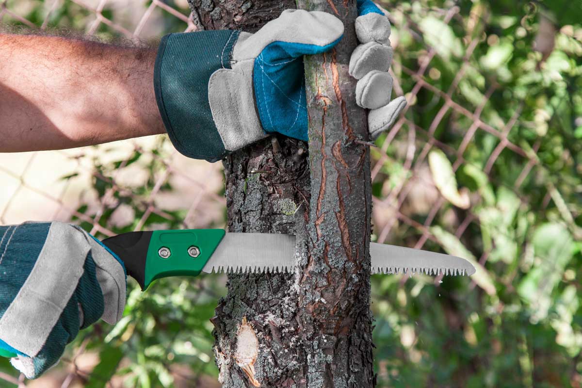 Hawthorn Woods, IL Tree Service Company