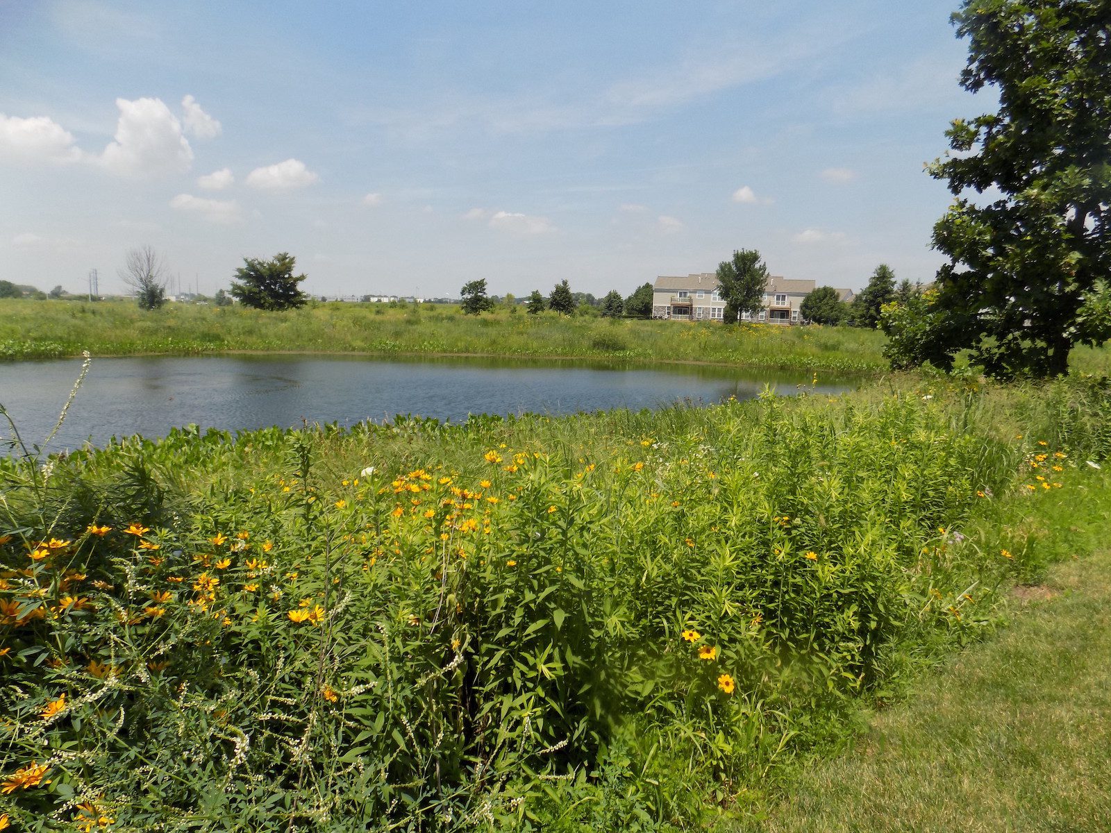 long-grove-il-mosquito-control